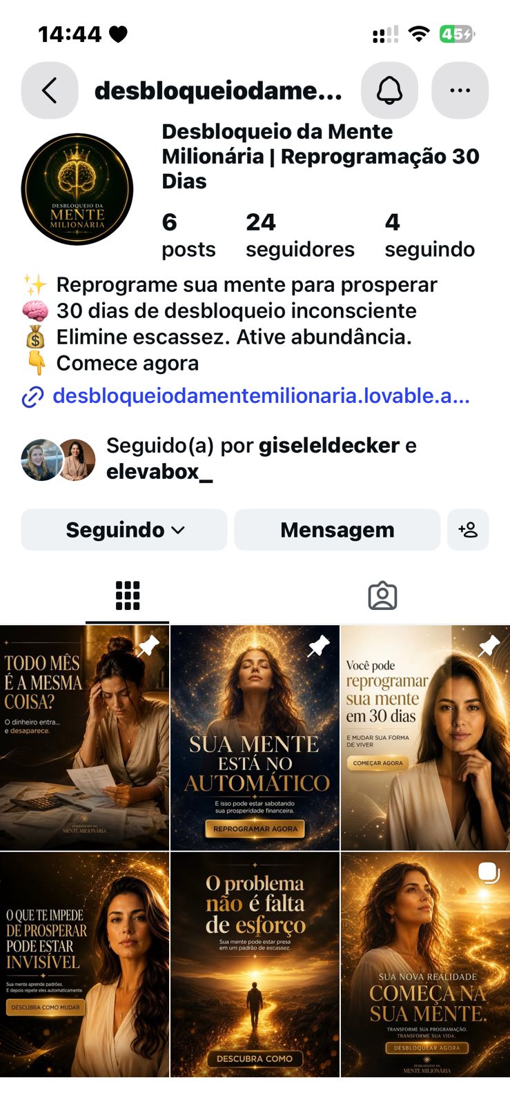 Exemplo de perfil organizado com o auxílio da Aurora
